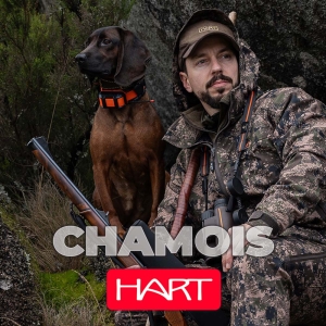 Chamois